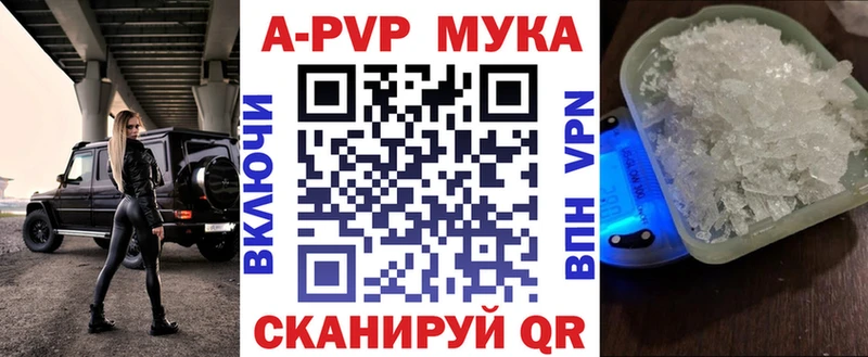 A PVP СК КРИС Пересвет
