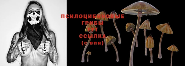 гидра Балабаново
